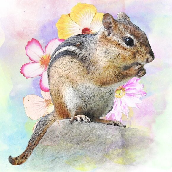 NobleCaptures Other - 8x10 Chipmunk Eating Watercolor Illustration Art‎ Painting Print